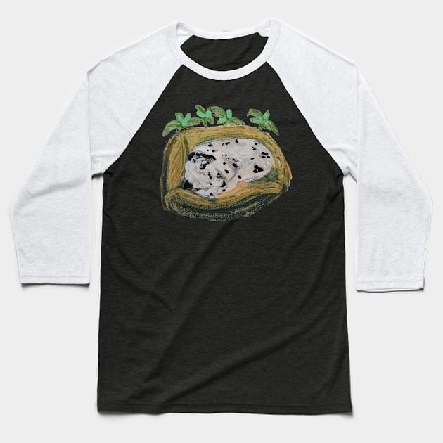 Little Basil Black Ears Baseball T-Shirt by Animal Surrealism